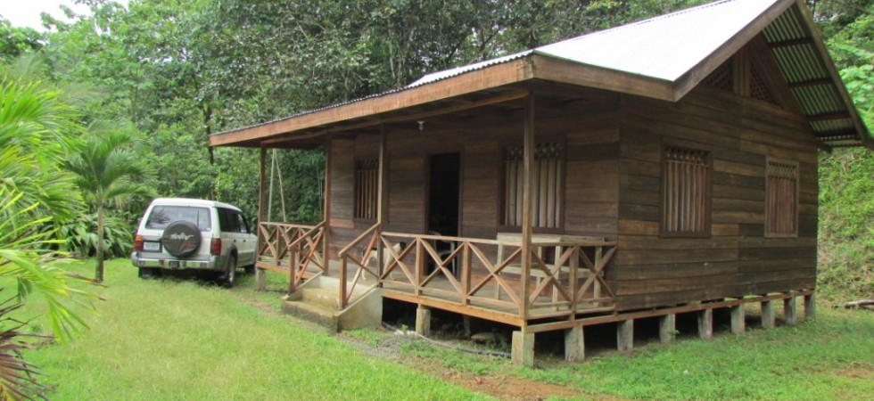 Affordable Jungle Cabin With Fruit Trees and Wildlife