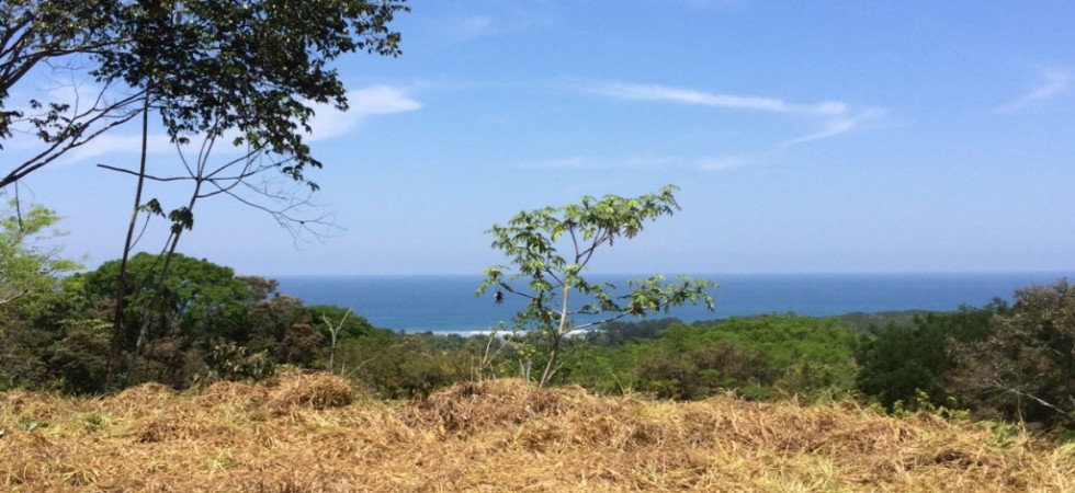 2 Acre Ocean View Lot In Hatillo Without Building Restrictions