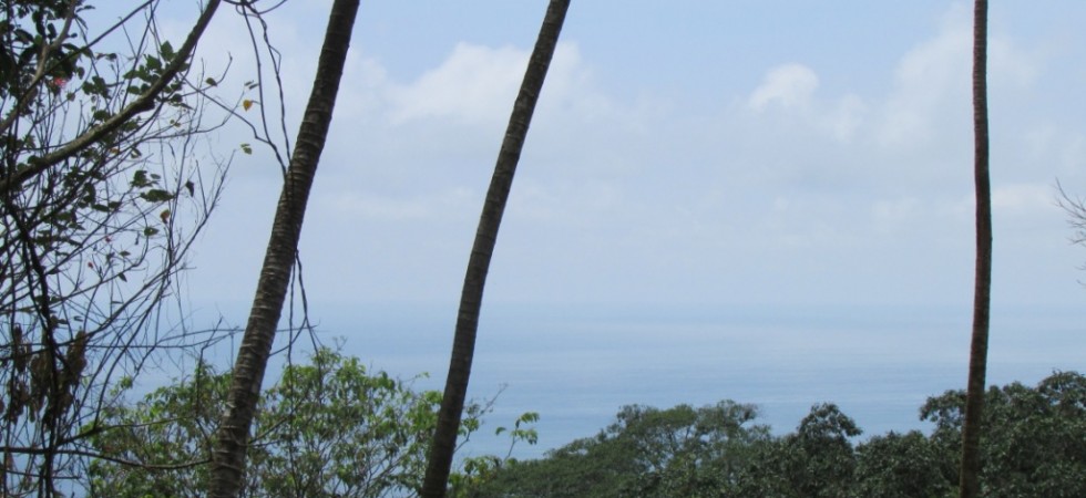 Ocean View Lot in Dominical For Commercial or Residential Use