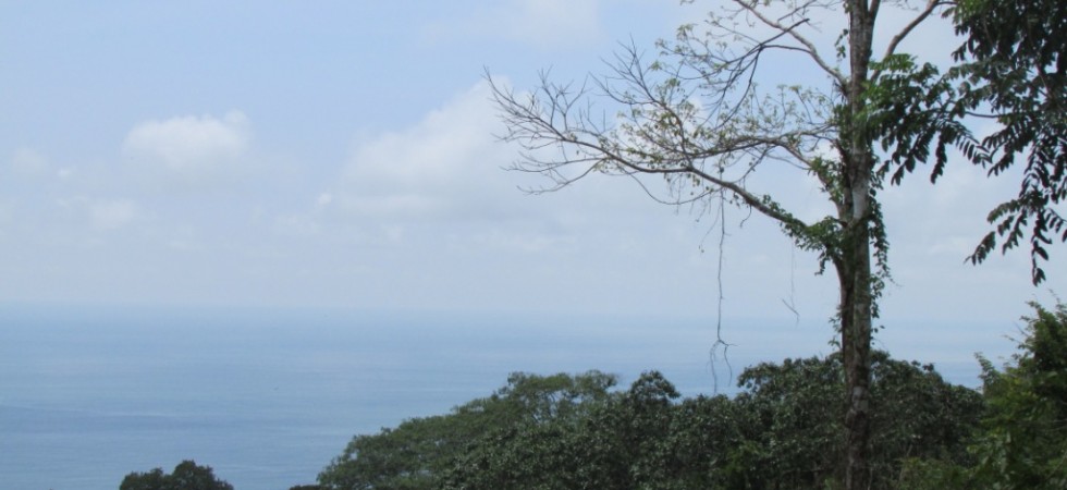 Ocean View Lot in Dominical For Commercial or Residential Use