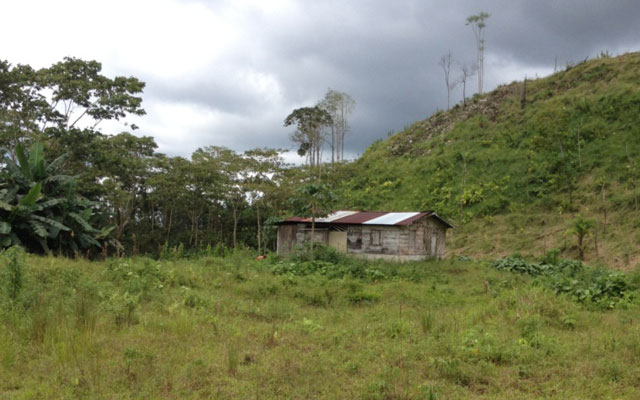 290 Acre Ranch in Southern Costa Rica Near Osa Penninsula
