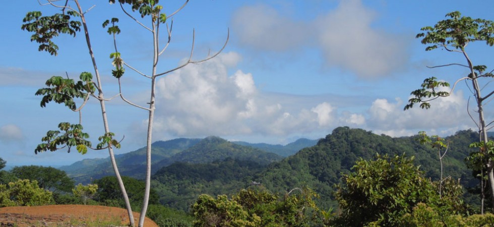 Over 11 Acres With Ocean and Mountain Views In Dominical