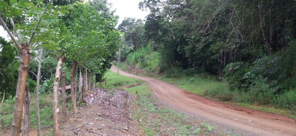 412 Acre Cattle Farm With Fresh Water Source In Parrita