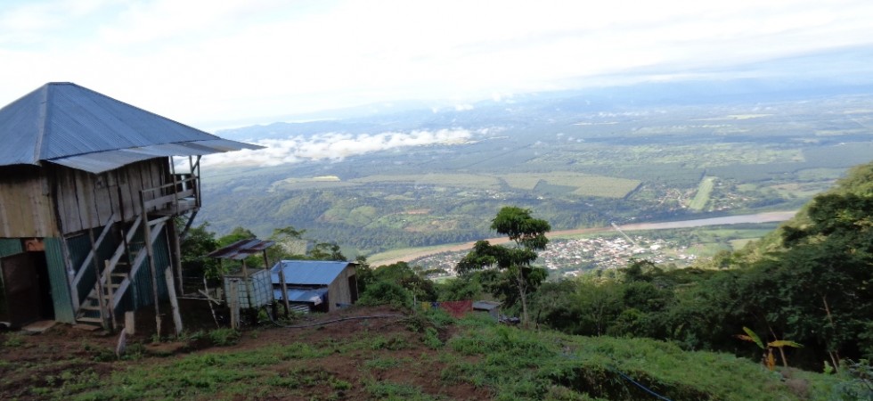 Hundred Acre Farmland With River and City Views Above Palmar Norte