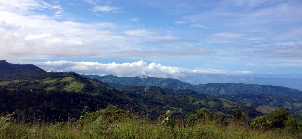 250 Acre Land Parcel With Private Forest Reserve Near San Isidro