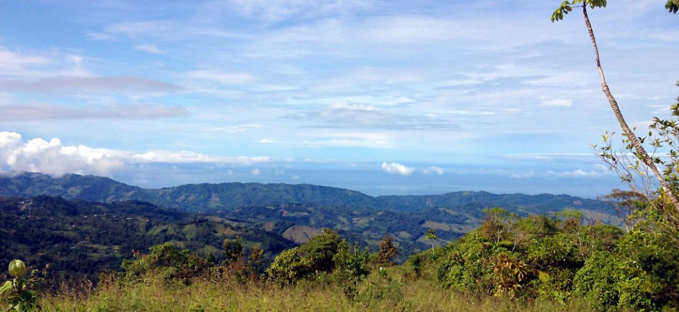 250 Acre Land Parcel With Private Forest Reserve Near San Isidro