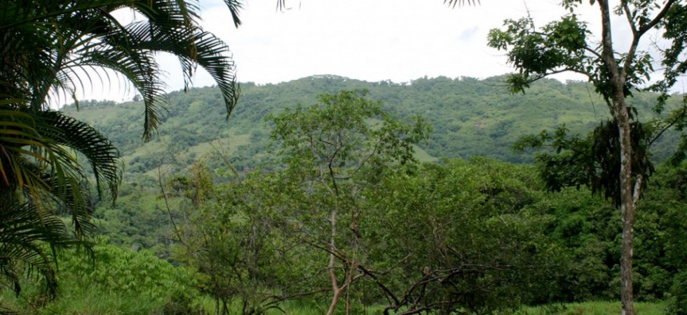 Over 5 Acres In The Mountains Of Platanillo Next To Nauyaca Waterfall