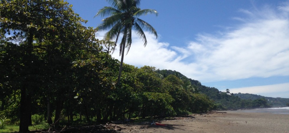 Commercial Building Lot By Dominical Beach With Highway Frontage