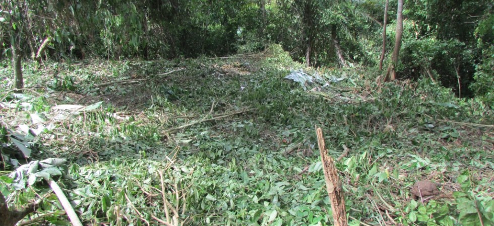 Land In Ojochal With Natural Stream And 3 Subdivided Building Sites