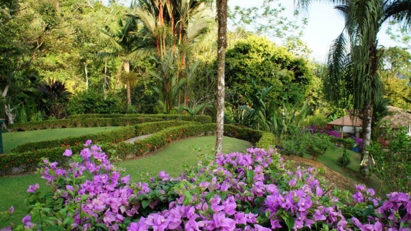 The Garden Of Eden Nature Estate On Eight Acres In Playa Uvita