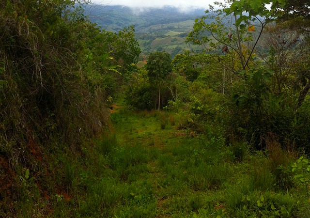 Punta Mira 41 Acre Mountain Property Above The Town Of Platanillo