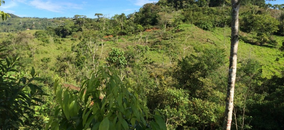 120 Acres With Big Waterfalls And Road Frontage Near Dominical Beach