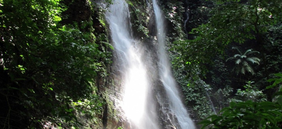 120 Acres With Big Waterfalls And Road Frontage Near Dominical Beach
