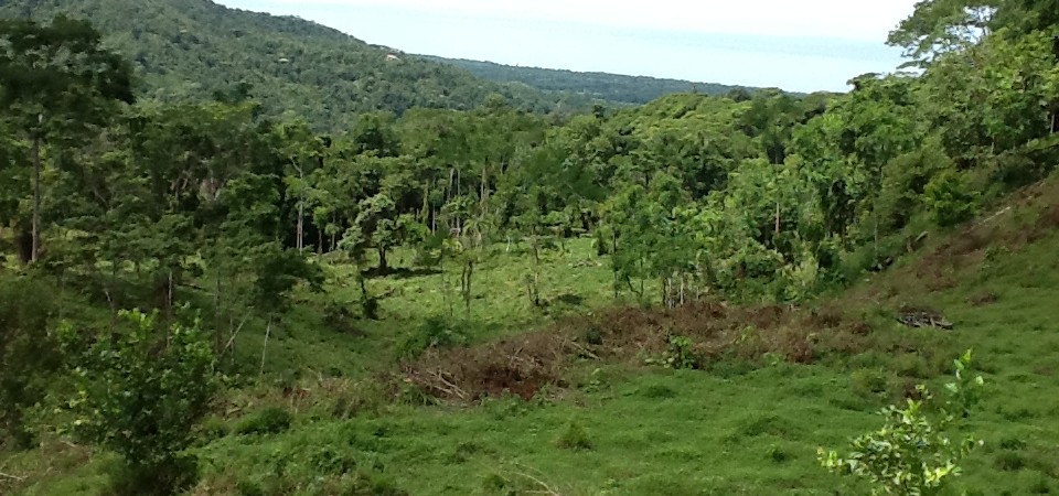 270 Acre Ocean View Property In The Hills Of Portalon By Dominical
