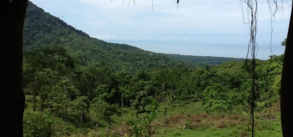 270 Acre Ocean View Property In The Hills Of Portalon By Dominical