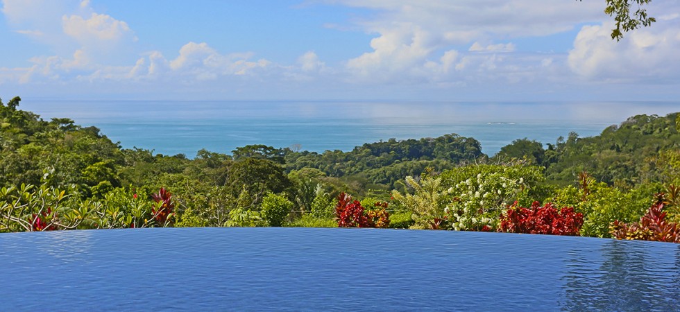 Ocean View Estate With A Private 36 Acre Rainforest Reserve