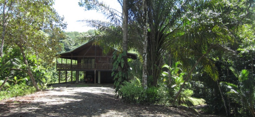 Nature Lodge On 30 Acres With Creeks Near Dominical Beach