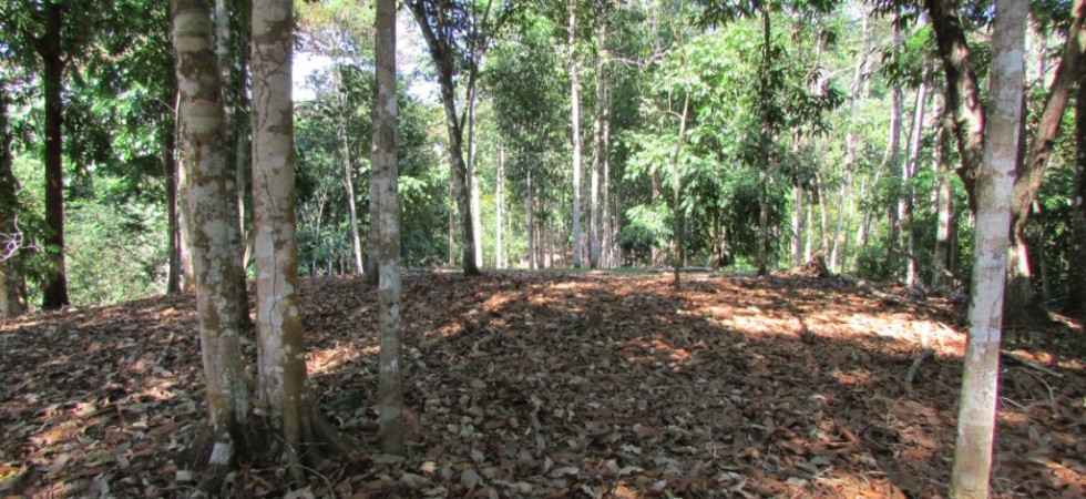 Affordable Home Building Lots Close To The Beach In Platanillo
