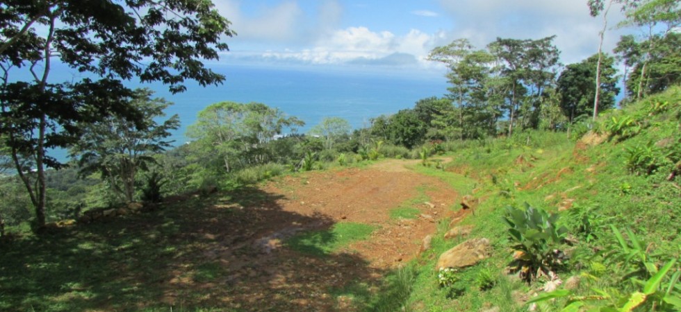 3 Acre Ocean View Land Parcel In The Escaleras Area Of Dominical