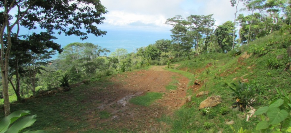 3 Acre Ocean View Land Parcel In The Escaleras Area Of Dominical