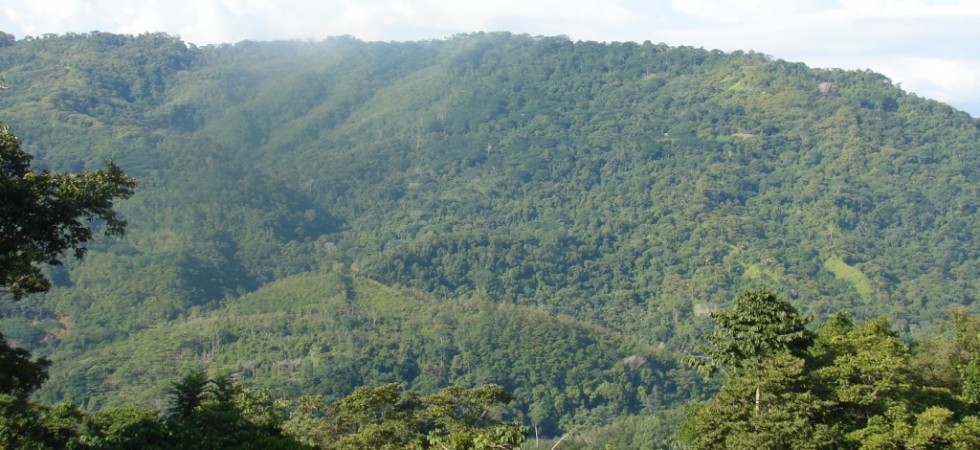 Cacao Ridge Lot In Platanillo With Creek And Huge Building Area