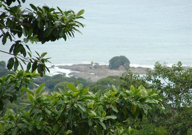 Over 8 Prime Acres With Ocean View In The Hills Above Dominical