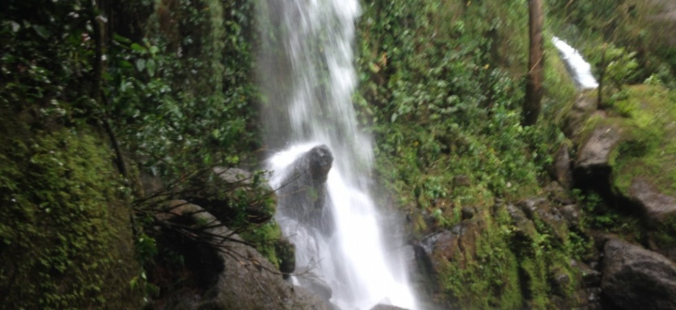 Mountain Estate B&B With Two Beautiful Waterfalls In Tinamaste