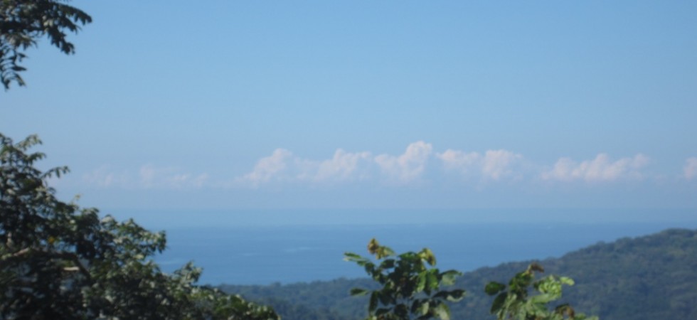 Ocean View Land With Over Three Acres Near The Beaches Of Dominical