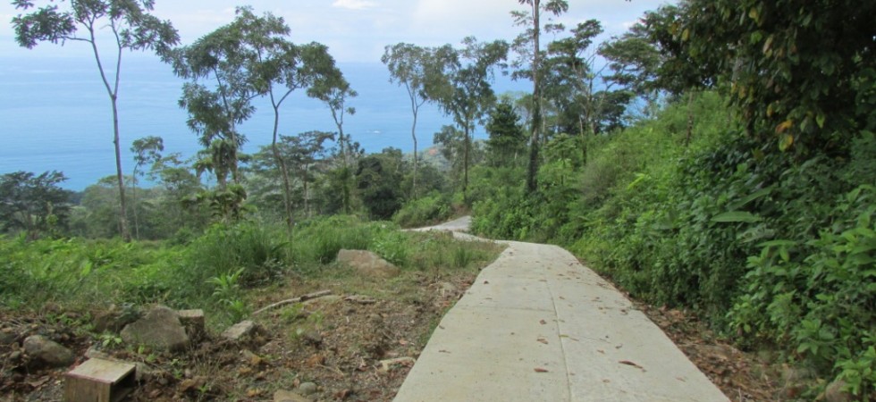 Over One Acre Ocean View Land Parcel In The Dominical Hills