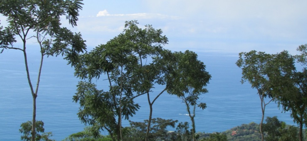 Over One Acre Ocean View Land Parcel In The Dominical Hills
