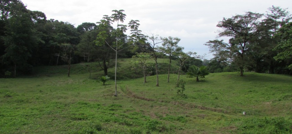 Over 8 Prime Acres With Ocean View In The Hills Above Dominical