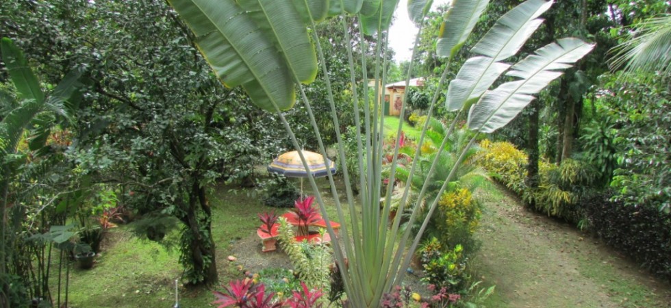 Furnished Home In The Town Of Playa Uvita With Tropical Gardens