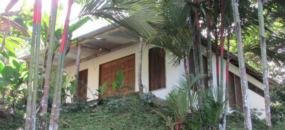 Affordable Rustic Mountain Home With Tropical Land And A River