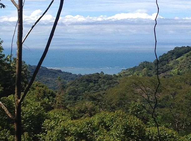 3 Acre Land Parcels In The Mountains With Waterfall And Ocean Views