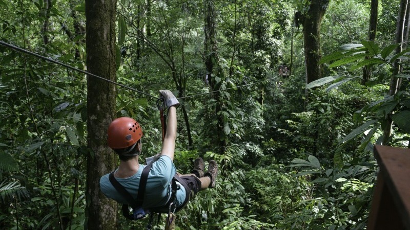 World Famous Ecotourism And Rainforest Zip Lining Business