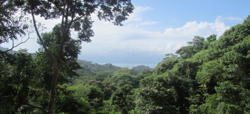 Beautiful Ocean View Home Building Site Close To Dominicalito Beach