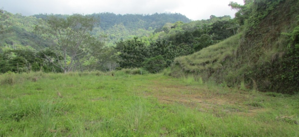 King Of The Hill 13 Incredible Ocean View Acre Land Parcel In Uvita