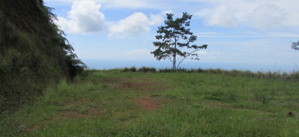 King Of The Hill 13 Incredible Ocean View Acre Land Parcel In Uvita