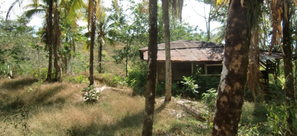 Tropical Farm With Rainforest Areas In Uvita Mountains With Ocean Views