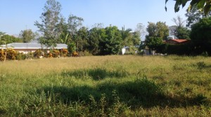 Affordable Home Building Site Located Near San Isidro Del General