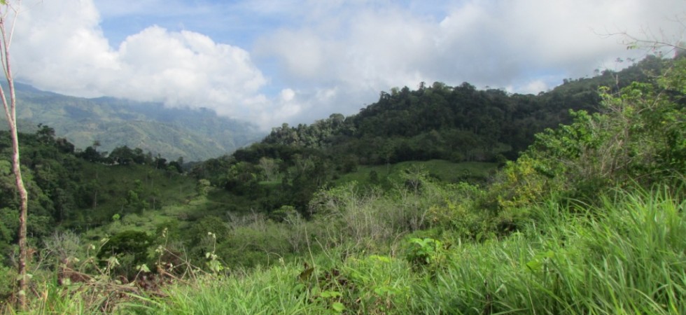 Large Ocean View Land Parcel With Fresh Water Stream Above Playa Uvita