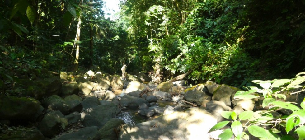 Large Ocean View Land Parcel With Fresh Water Stream Above Playa Uvita