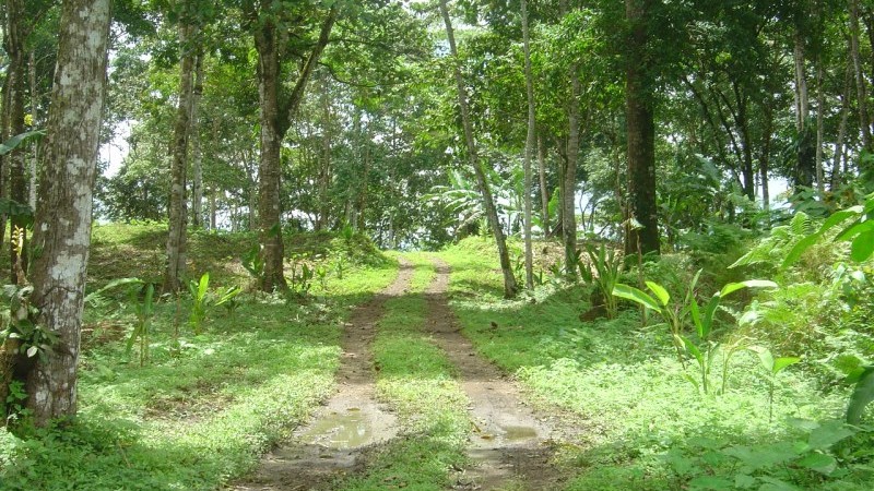 Private Land Located At The Base Of The 600 Foot Diamante Waterfall