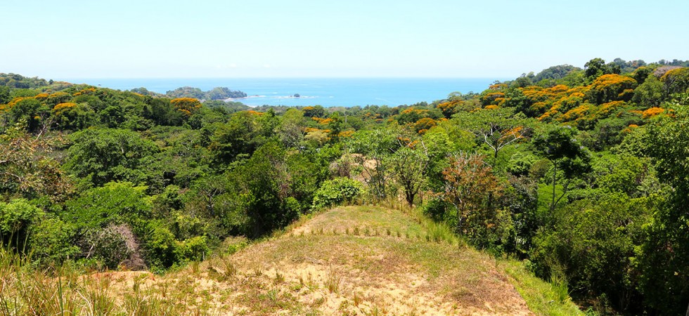 One Of A Kind Ocean View Property Close To Dominical Beach