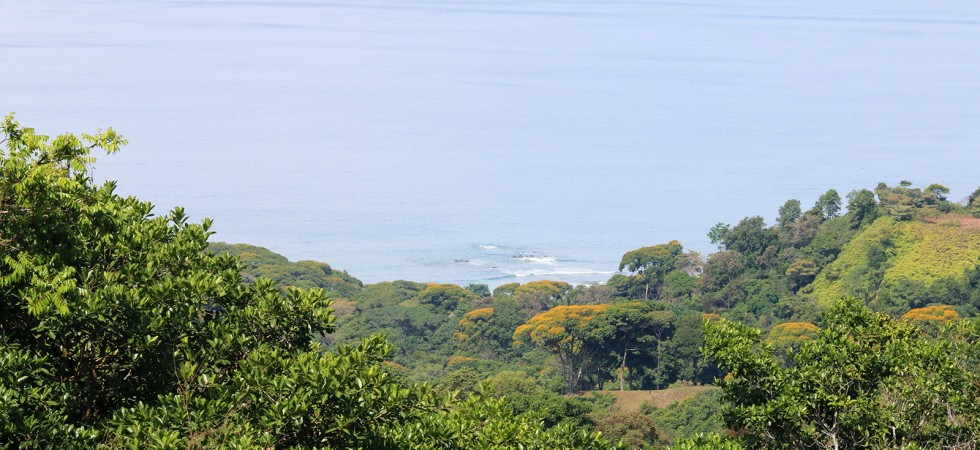 Whitewater Ocean View Property In The Dominical Hills Of Escaleras
