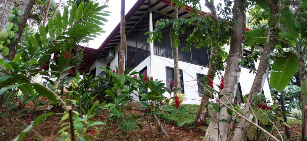 Affordable Resort Style Home High In The Osa Mountains