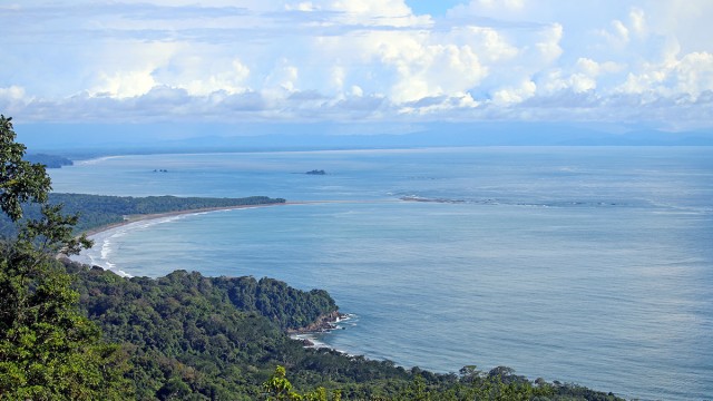 Whale Tail Ocean View