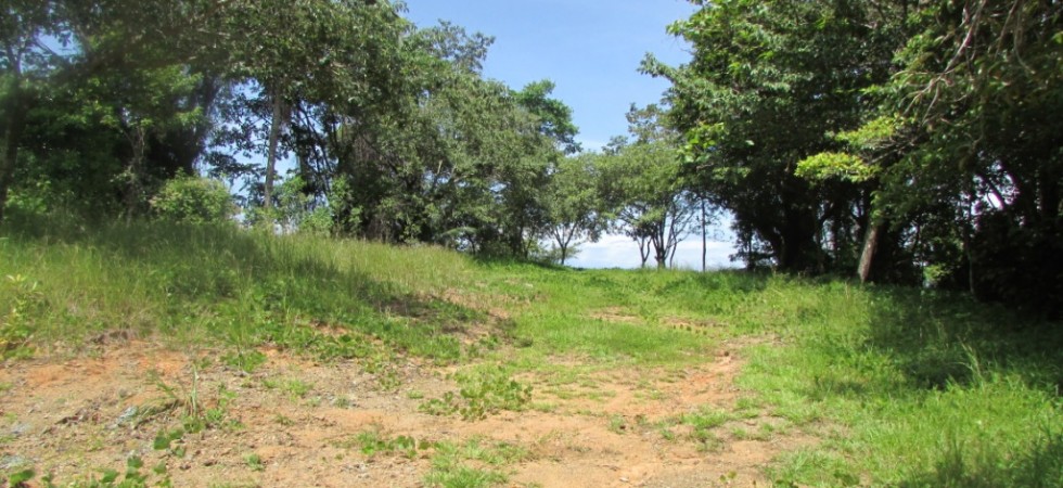 Ocean View Land Parcel Close To The Beach Above Domicalito Bay