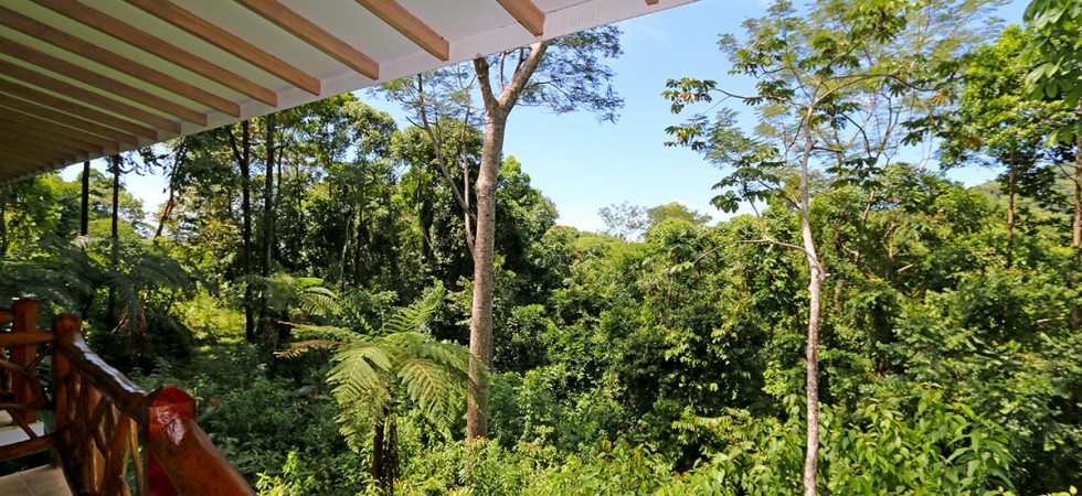 Tropical Rainforest Home In A Private Eco Community Close To The Beach