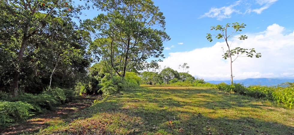 Ideal Property for an Eco Sustainable Community in Escaleras Dominical
